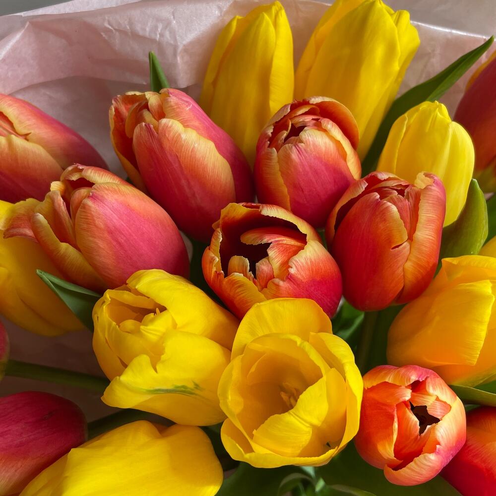 https://content2.flowwow-images.com/data/flowers/1000x1000/63/1741846801_39186163.jpg