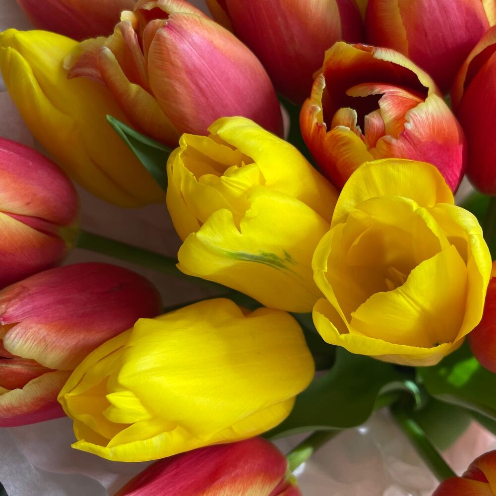 https://content2.flowwow-images.com/data/flowers/1000x1000/25/1741846802_10136825.jpg